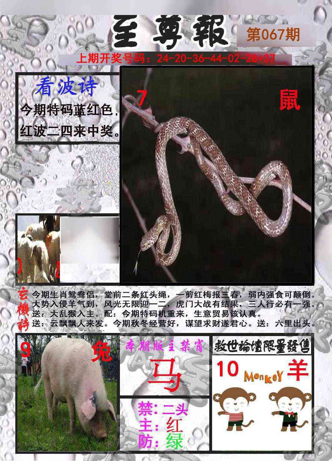 067期至尊报[图]