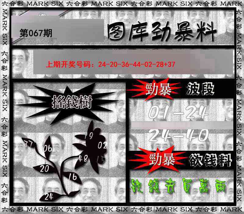 067期劲暴来料[图]