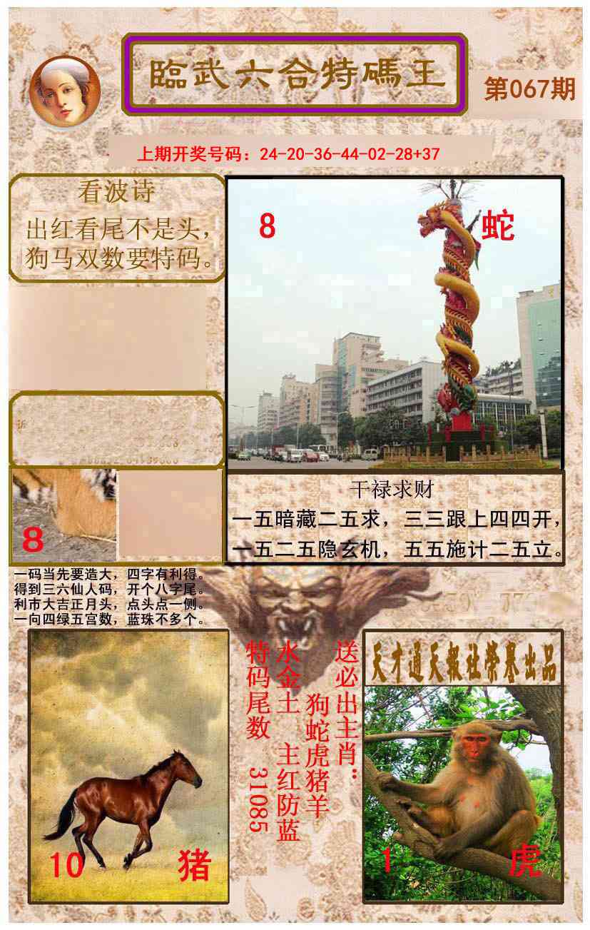 067期临武六合特码王[图]