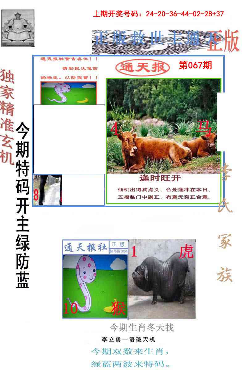 067期李力勇通天报[图]
