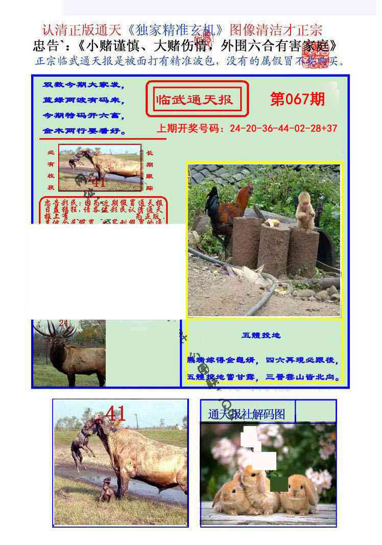 067期临武通天报[图]