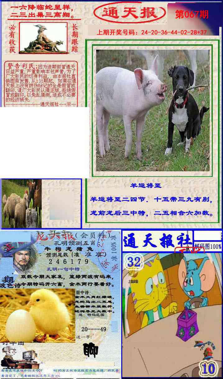 067期实力通天报[图]