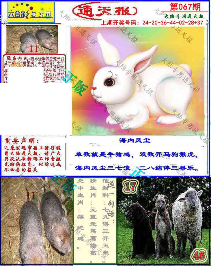 067期大陆通天报[图]