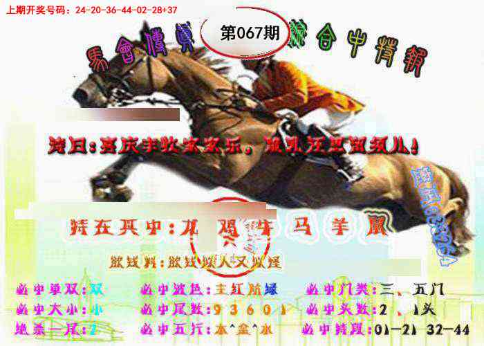 067期马会传真-综合报[图]