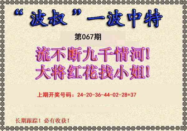 067期波叔一波中特[图]