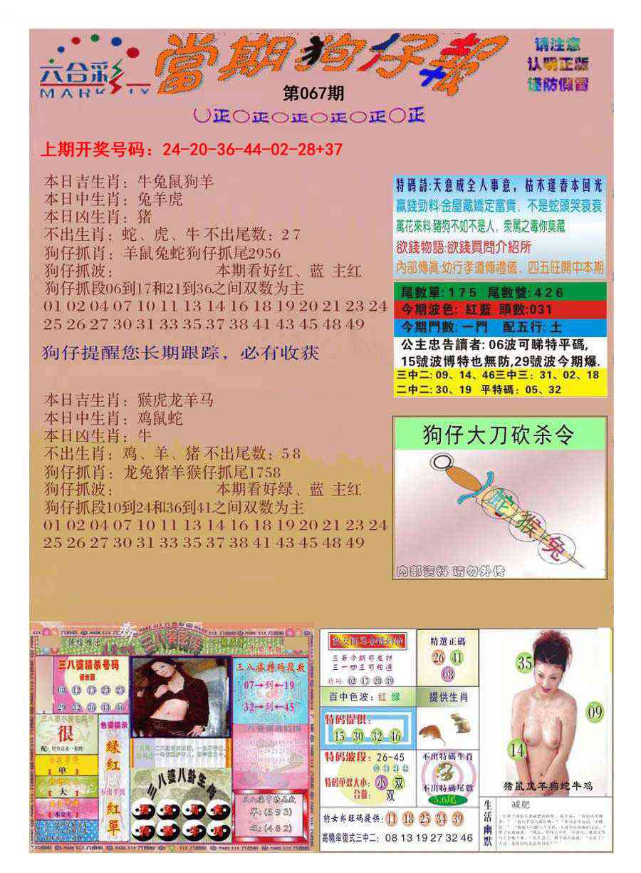 067期当期狗仔版[图]