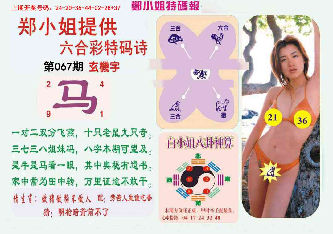 067期郑小姐特码报B[图]