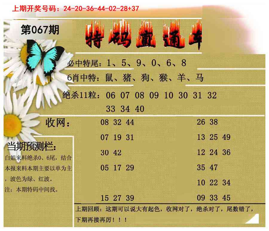 067期特码直通车[图]