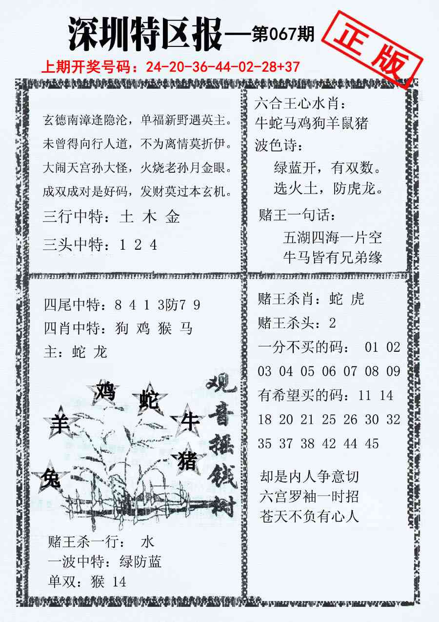 067期深圳特区报A[图]