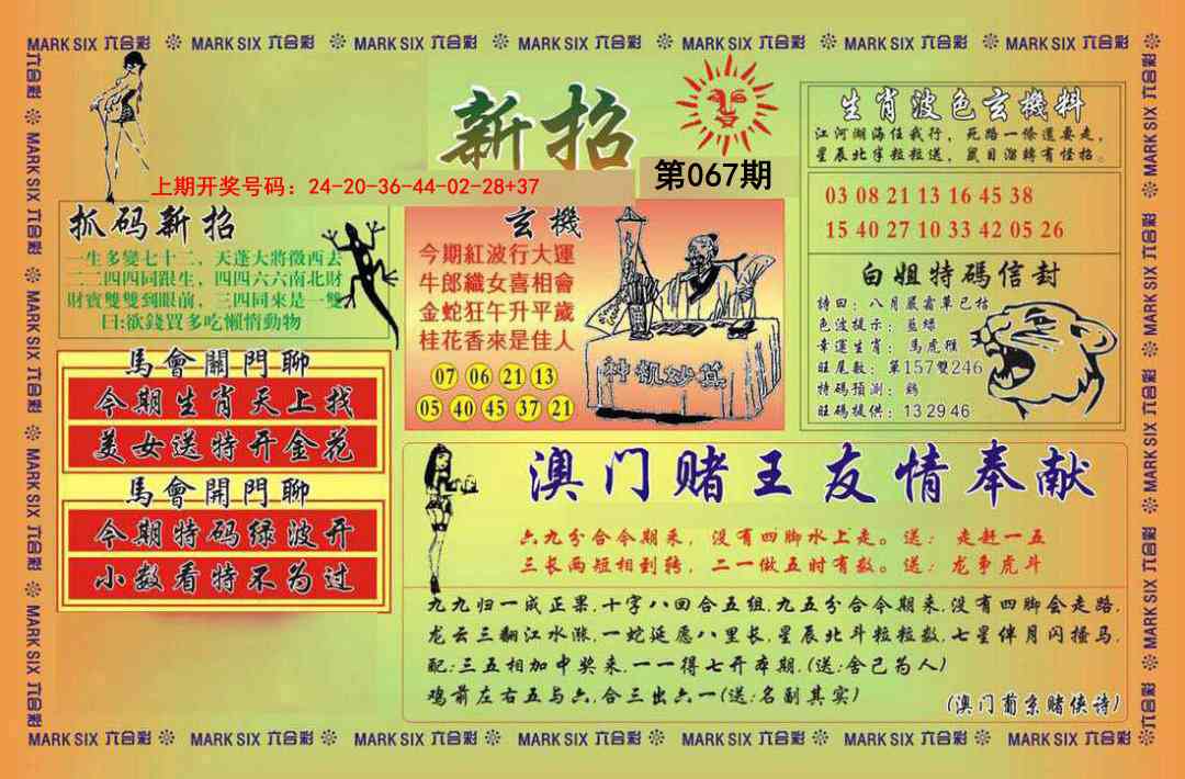 067期新招[图]