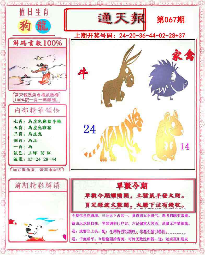 067期小喜通天报[图]
