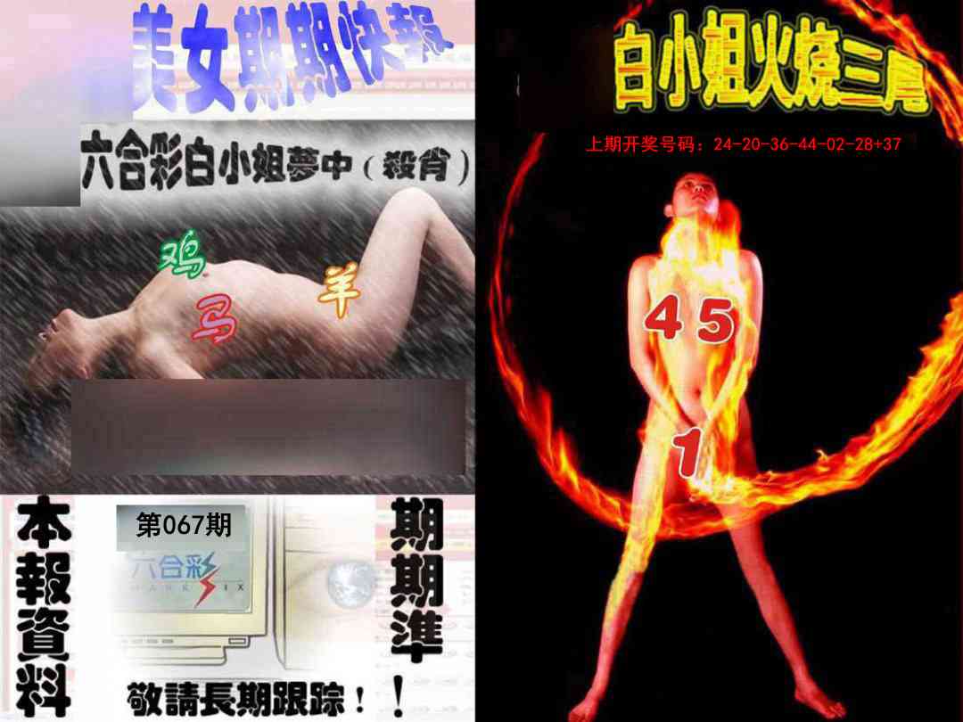 067期环球美女特码报[图]
