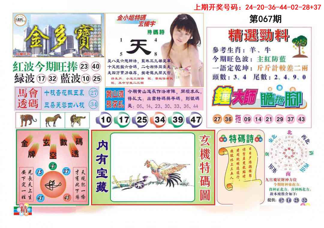 067期金多宝[图]