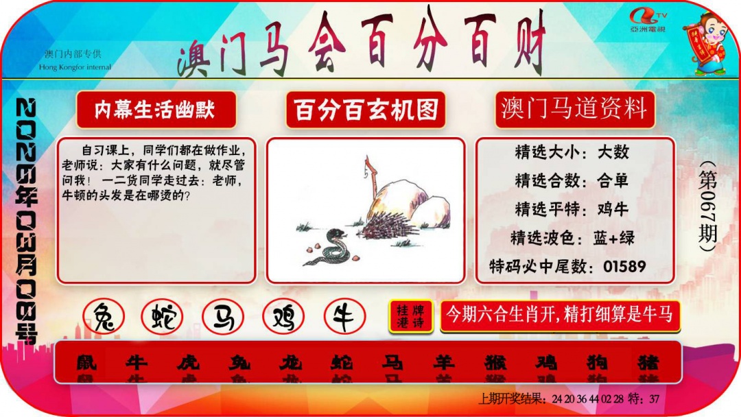 067期百分百财经[图]