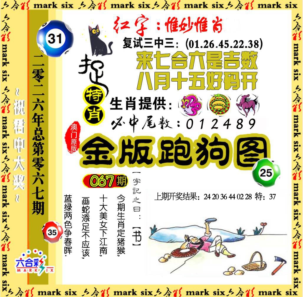 067期金版跑狗图[图]
