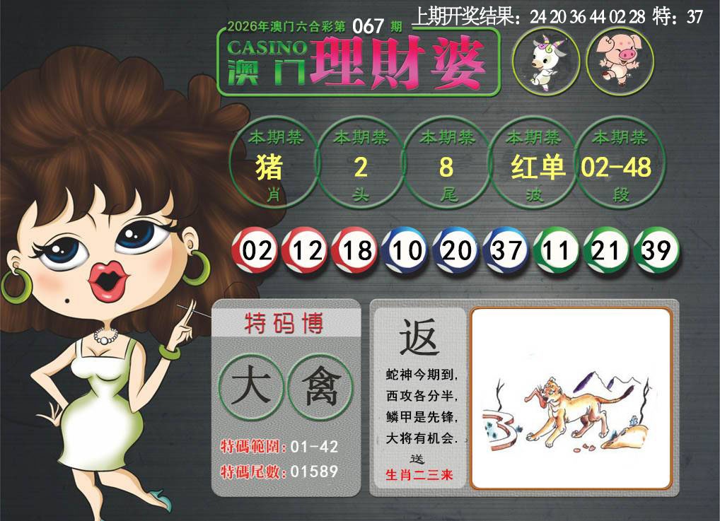 067期澳门理财婆[图]