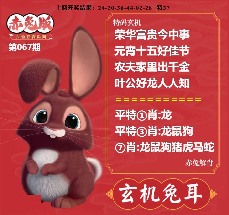 067期玄机兔耳[图]