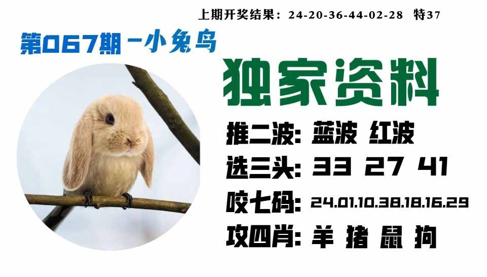 067期小兔鸟[图]