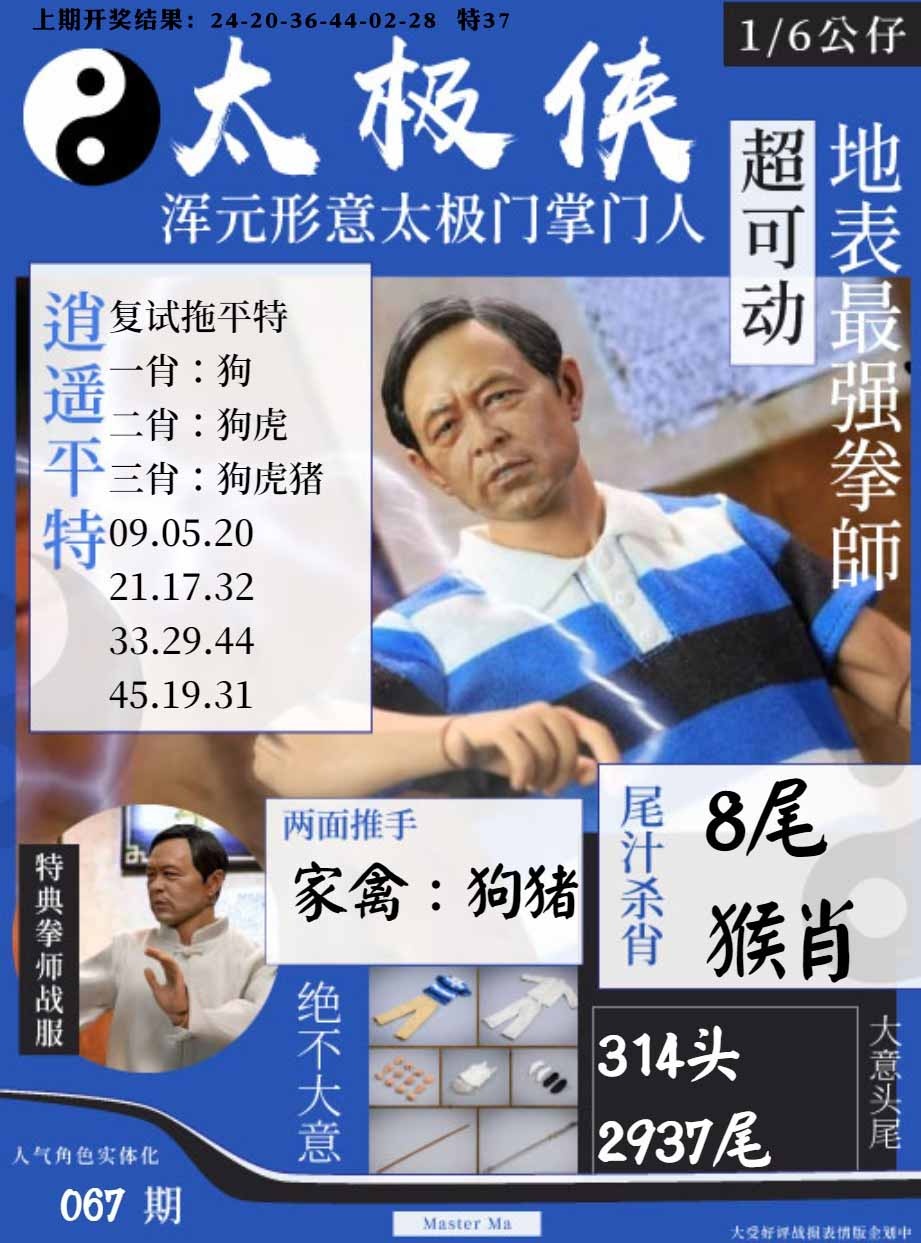 067期太极侠[图]